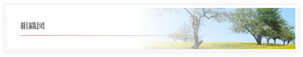 組織図